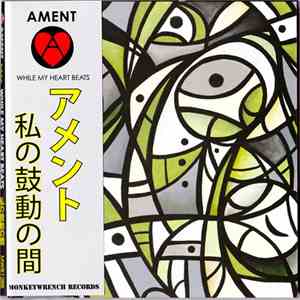 Jeff Ament - While My Heart Beats album