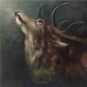 Lascar - Absence album