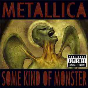 Metallica - Some Kind Of Monster album