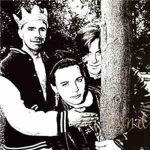 Pond  - Wheel album