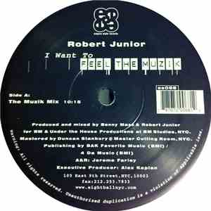 Robert Junior - I Want To Feel The Muzik album