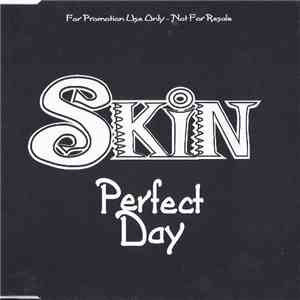 Skin  - Perfect Day album
