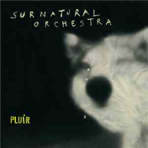 Surnatural Orchestra - Pluir album