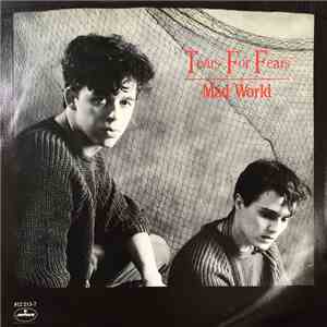 Tears For Fears - Mad World album