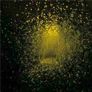 The Antlers - Burst Apart (Deluxe Version) album