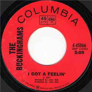 The Buckinghams - I Got A Feelin' / It Took Forever album