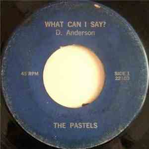 The Pastels  - What Can I Say? album