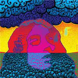 The Sonic Dawn - Perception album