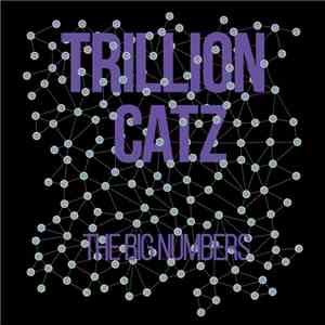 Trillion Catz - The Big Numbers album