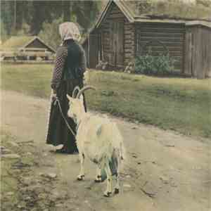 Various - Swedish Energies V: A Companion album