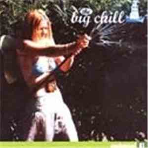 Various - The Big Chill: Enchanted 01 album