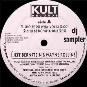 Wayne Rollins & Jeff Bernstein / 95 North - DJ Sampler album