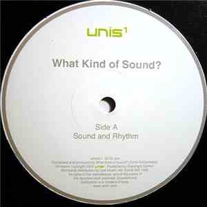 What Kind Of Sound? - Untitled album