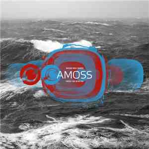 Amoss - Tripped / Why Do We Fall album