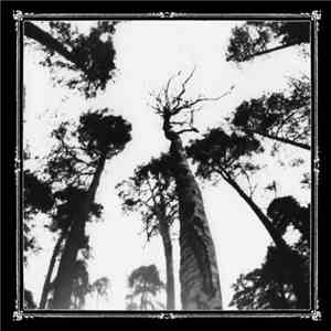 Ancestors Blood - When The Forest Calls album