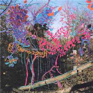 Animal Collective - Here Comes The Indian album