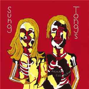 Animal Collective - Sung Tongs album