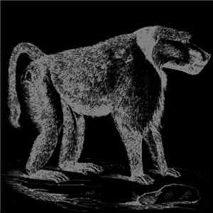 Babnoo - Chacma album