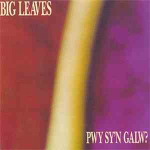 Big Leaves - Pwy Sy`n Galw? album