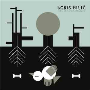 Boris Milić - Undo, Redo and Clear b/w 3 X Thank You Means Fuck You 7" album