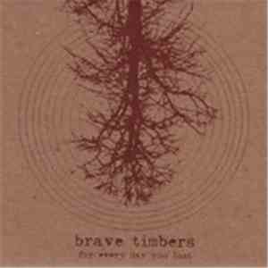 brave timbers - For Every Day You Lost + Woodwork album
