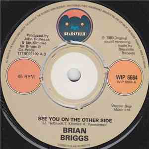 Brian Briggs - See You On The Other Side album