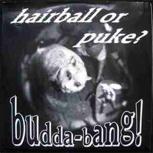 Budda-Bang! - Hairball Or Puke? / Beat Plastic album