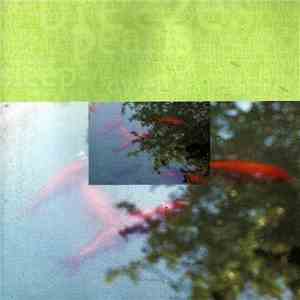 Cocoon  - Cocoon album