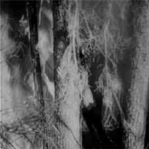 Consciousness Prism / Wehwalt - Consciousness Prism / Wehwalt album