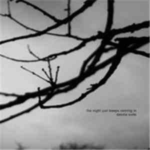 Dakota Suite - The Night Just Keeps Coming In album