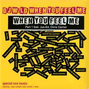 DJ Wild - When You Feel Me Part 1 album