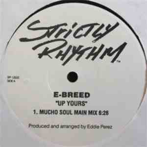 E-Breed - Up Yours album