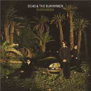 Echo & The Bunnymen - Evergreen album