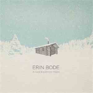 Erin Bode - A Cold December Night album