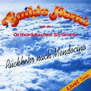 Guildo Horn Und Die Orthopädischen Strümpfe - Rückkehr Nach Mendocino album
