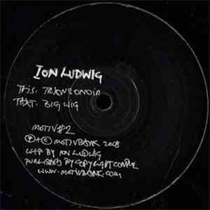 Ion Ludwig - Transonoir / Big Wig album