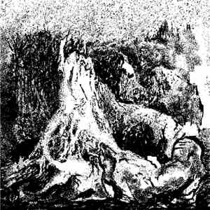 Kyomdarak - 夢の焦土 album
