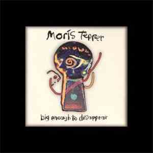 Moris Tepper - Big Enough To Disappear album