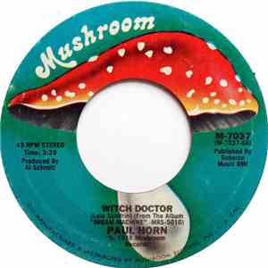 Paul Horn - Witch Doctor album