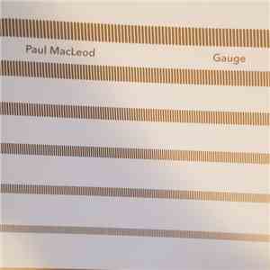 Paul MacLeod - Gauge album