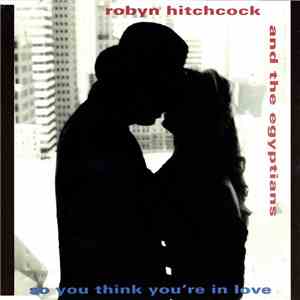 Robyn Hitchcock And The Egyptians - So You Think You're In Love album