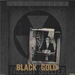 Soul Asylum  - Black Gold album