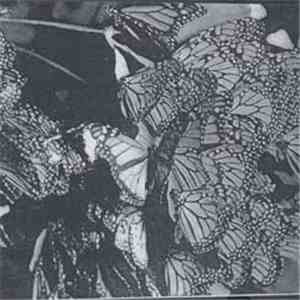 Sunwatcher - Red Hairs album