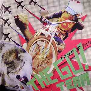 The Go! Team - Proof Of Youth album