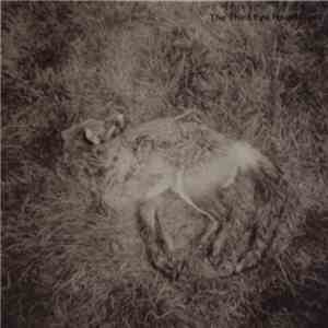 The Third Eye Foundation - Semtex album