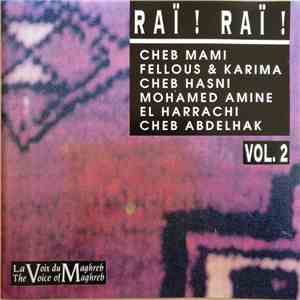 Various - Raï ! Raï ! Vol. 2 album