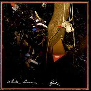 White Denim - Fits album
