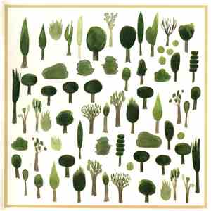 Yuichiro Fujimoto - Kinoe album