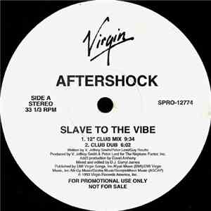 Aftershock - Slave To The Vibe album