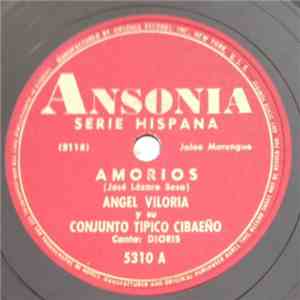 Angel Viloria Y Su Conjunto Típico Cibaeño - Amorios / Mi Cariño album